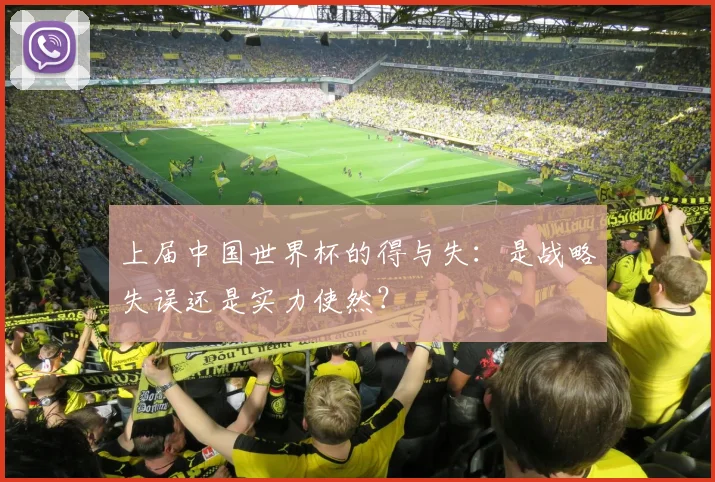 上届中国世界杯的得与失：是战略失误还是实力使然？