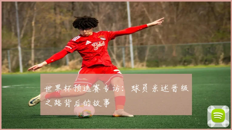 世界杯预选赛专访：球员亲述晋级之路背后的故事